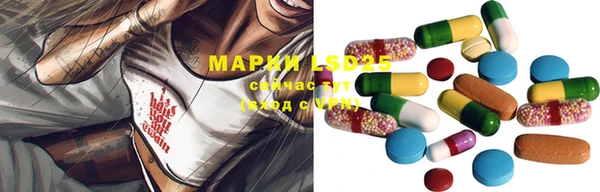 прущие грибы Абинск
