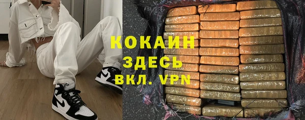 прущие грибы Абинск