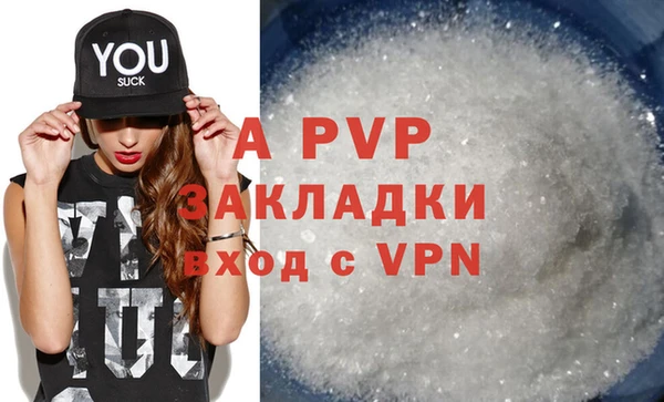 прущие грибы Абинск