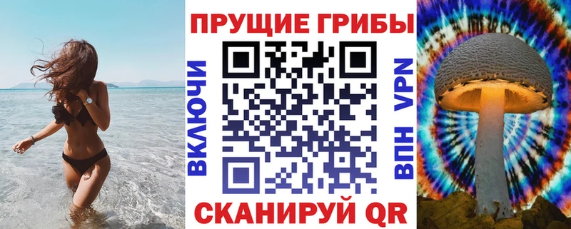 Псилоцибиновые грибы Psilocybe Кохма
