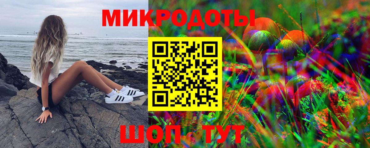 Псилоцибиновые грибы Psilocybine cubensis Кохма